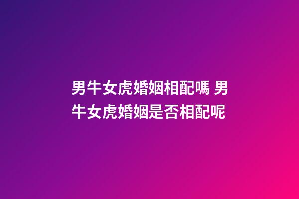 男牛女虎婚姻相配嗎 男牛女虎婚姻是否相配呢-第1張-觀點-玄機(jī)派